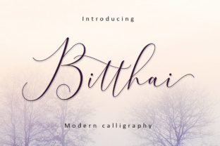 Bitthai Font: Elevating Digital Brand Identity