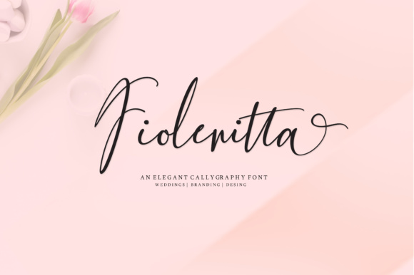 Fiolenitta: The Calligraphy Font That Transformed My Brand’s Look