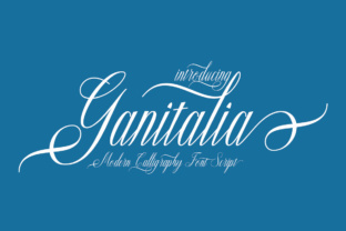 Ganitalia Font: Elevating Digital Brand Identity
