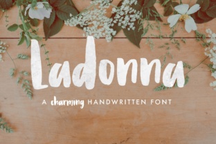 Ladonna Font: Add Character to Your Small Business Brand
