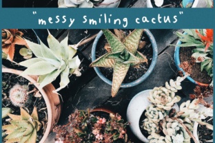 Messy Smiling Cactus Font: A Real Branding Test