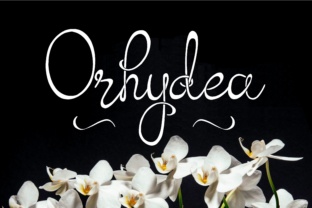 Orhydea: A Handmade Script Font for Elegant Editorial Design